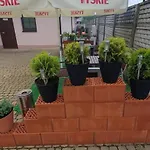 Orchidea - - 24h Penzion Lipsko