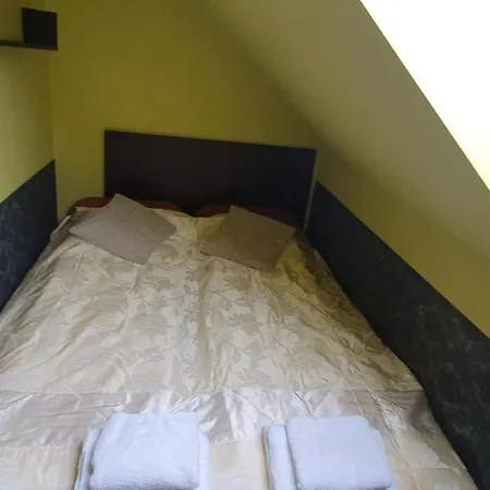 Inn Orchidea - - 24h